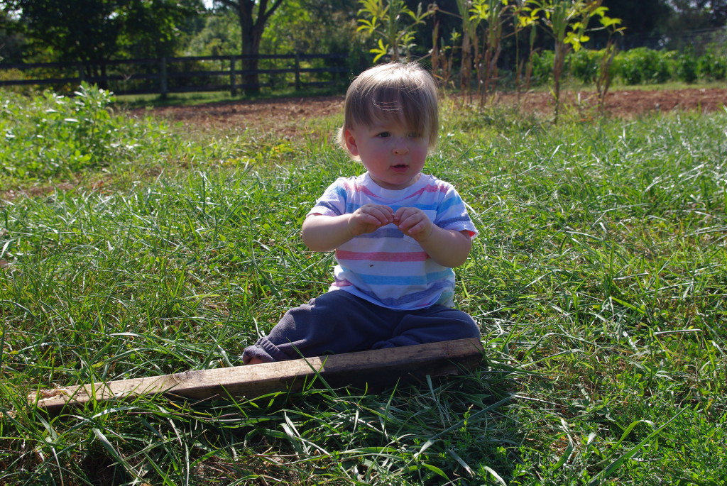 Finn stole Ollie's stick