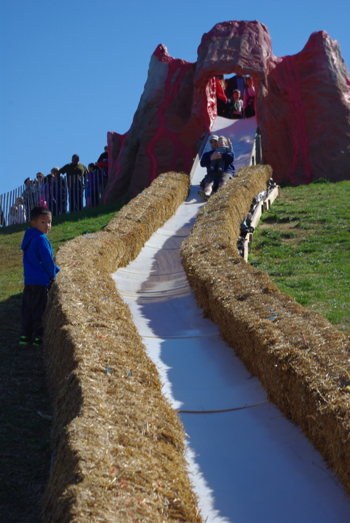 Daddy and Finn on the slide!  Mommy was too scared!