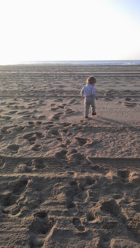 Finn would only go on the sand with shoes on!