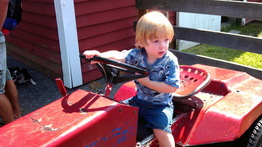 At the 4-H fair 